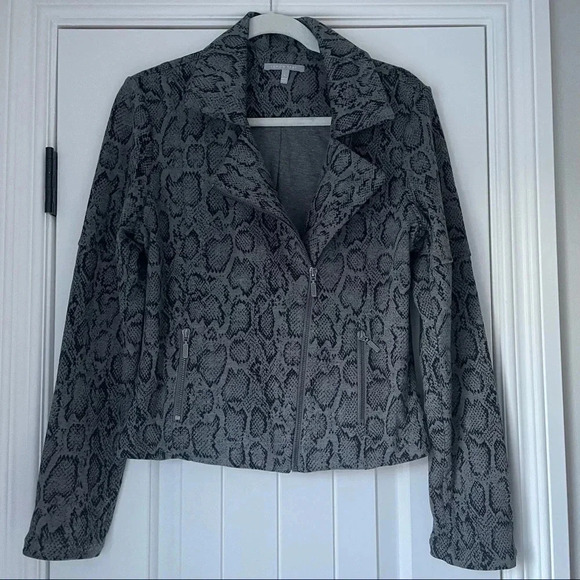 Evereve Lemon Tart Python Moto Jacket - Picture 1 of 7